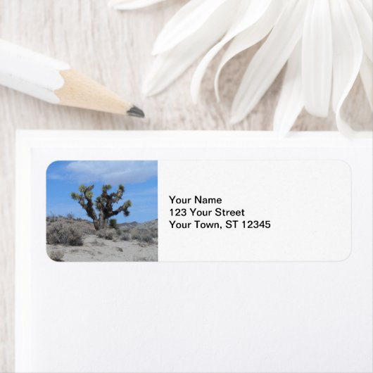 Mojave Desert Joshua Tree (Insitu)