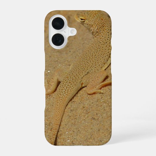Mojave-Fransenzehen-Echse iPhone 16 Hülle (Rückseite)