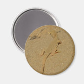 Mojave-Fransenzehen-Echse Magnet (Vorderseite/Rückseite)
