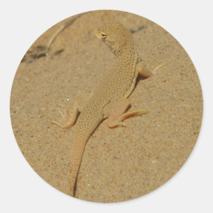 Mojave-Fransenzehen-Echse Runder Aufkleber