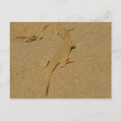 Mojave Fringe-Toed Lizard Postkarte (Vorderseite)