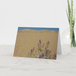Mojave Indigo Busch und Kelso Dünen Karte