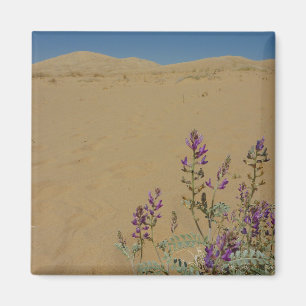 Mojave Indigo Busch und Kelso Dünen Magnet