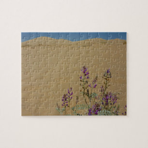 Mojave Indigo Busch und Kelso Dünen Puzzle