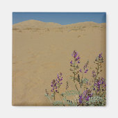 Mojave Indigo Bush und Kelso Dunes Magnet (Vorne)