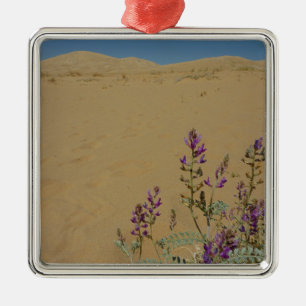 Mojave Indigo Bush und Kelso Dunes Ornament Aus Metall