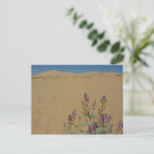 Mojave Indigo Bush und Kelso Dunes Postkarte (Stehend Vorderseite)