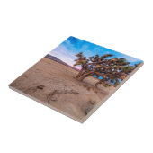 Mojave-Joshua-Baum Fliese (Seite)