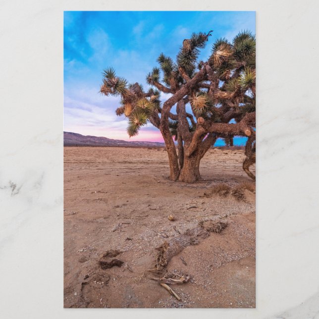 Mojave Joshua Tree (Vorderseite)