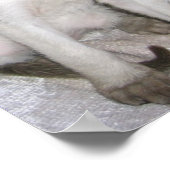 Mojave the Great Poster (Ecke)