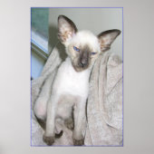 Mojave the Great Poster (Vorne)