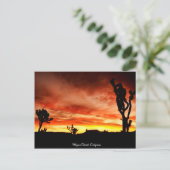 Mojave Wüste, Kalifornien Postkarte (Stehend Vorderseite)