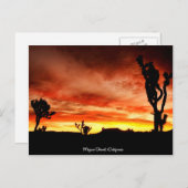 Mojave Wüste, Kalifornien Postkarte (Vorne/Hinten)