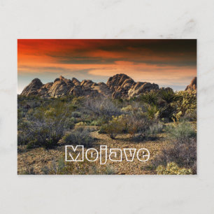 Mojave Wüste, Kalifornien Postkarte