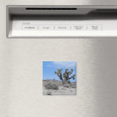 Mojave Wüste Magnet (In Situ (Geschirrspüler))