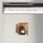 Mojave Wüstenmagnet! Magnet (In Situ (Geschirrspüler))