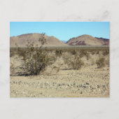 Mojave-Wüstenszene 02 Postkarte (Vorderseite)