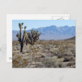 Mojave-Wüstenszene 03 Postkarte (Vorne/Hinten)