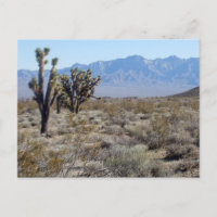 Mojave-Wüstenszene 03