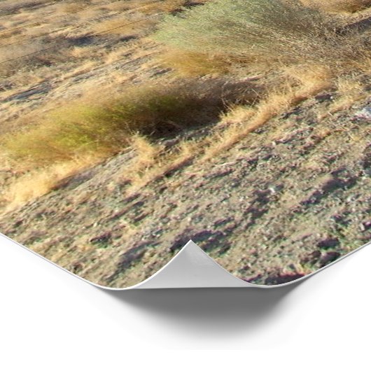 Mojave-Wüstenszene 06 Poster (Ecke)