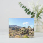 Mojave-Wüstenszene 06 Postkarte (Stehend Vorderseite)
