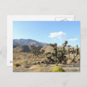 Mojave-Wüstenszene 06 Postkarte (Vorne/Hinten)