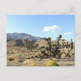 Mojave-Wüstenszene 06 Postkarte