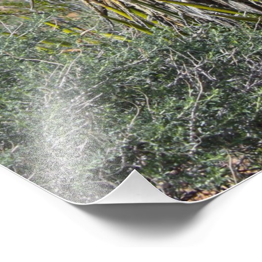 Mojave yucca blüht in der Wüste nahe Las Vegas Fotodruck (Ecke)