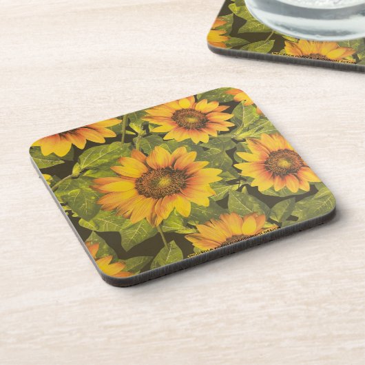 MOJISOLA ADEOLA GBADAMOSI GETRÄNKEUNTERSETZER (Linke Seite)