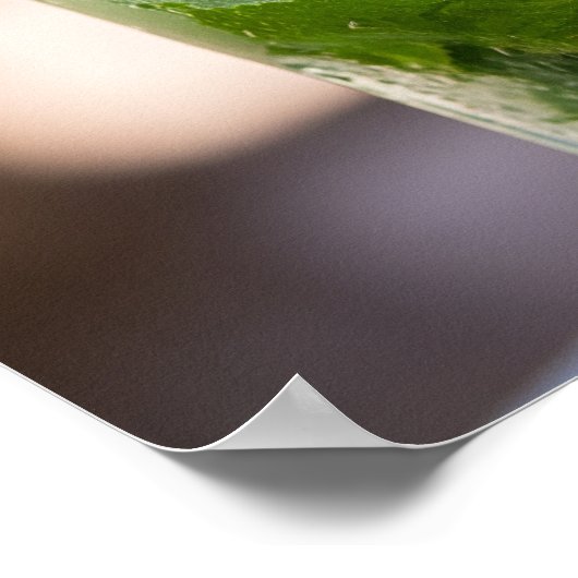 Mojito Recipe Poster (Ecke)