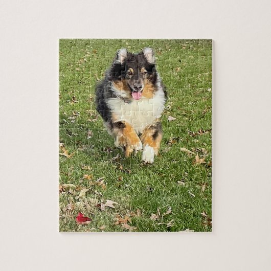Mojo - Australian Shepherd Puzzle (Vertikal)