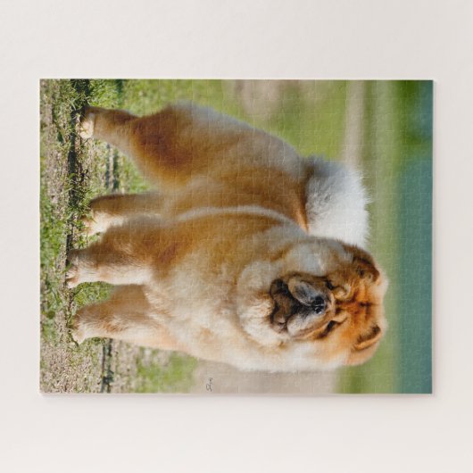 Mojo Chow Jigsaw Puzzle (Horizontal)