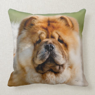 Mojo Chow Throw Pillow Kissen