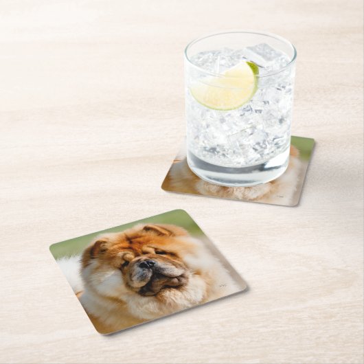 Mojo Chow Untersetzer (Vor Ort)