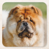 Mojo Chow Untersetzer (Vorderseite)