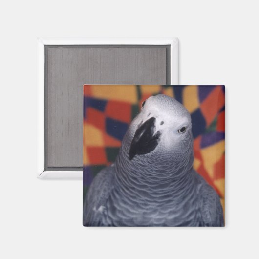 Mojo Magnet (Vorderseite/Rückseite)