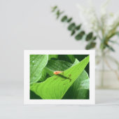 Mojos kleines rotes Eft Postkarte (Stehend Vorderseite)