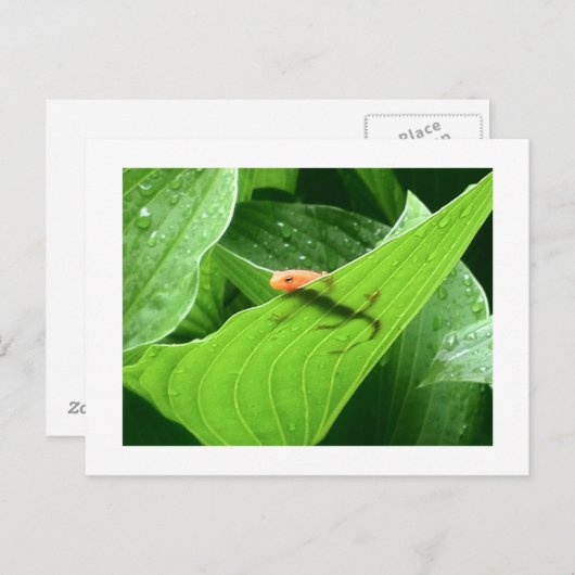 Mojos kleines rotes Eft Postkarte (Vorne/Hinten)