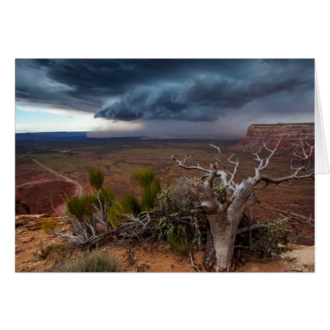 Moki Dugway Thunderstorm - Süd Utah (Vorderseite (Horizontal))