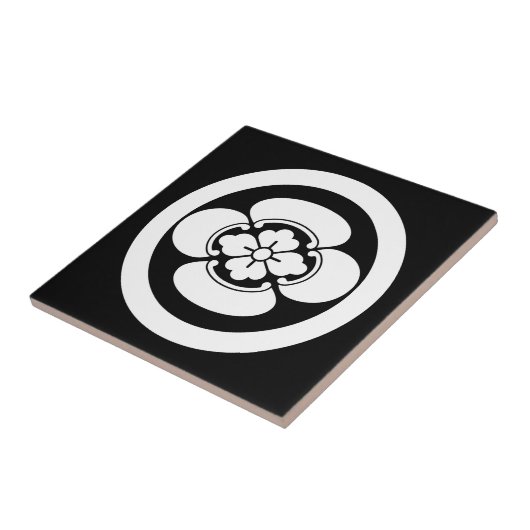 Mokko im Kreis Fliese (Seite)