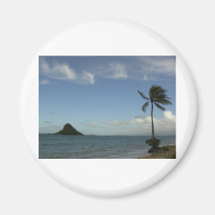 MOKOLI'I INSEL O'AHU MAGNET