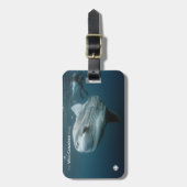 Mola Mola Gepäckanhänger (Vorderseite vertikal)