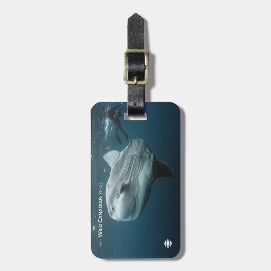 Mola Mola Gepäckanhänger (Vorderseite vertikal)