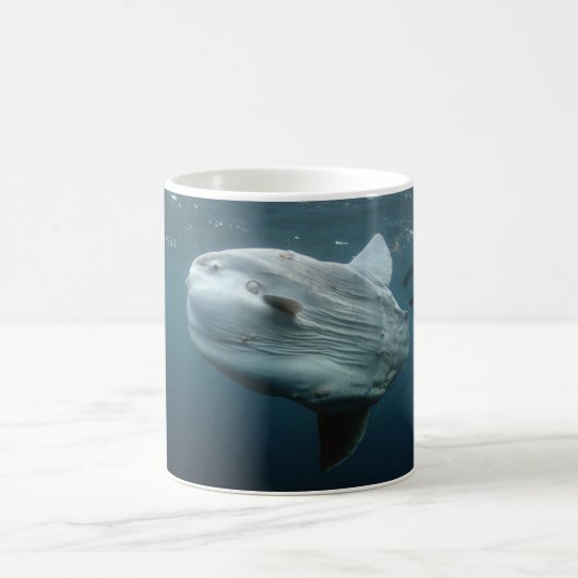 Mola Mola Kaffeetasse (Mittel)