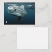 Mola Mola Mitteilungskarte (Vorne/Hinten)