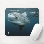 Mola Mola Mousepad (Mit Mouse)