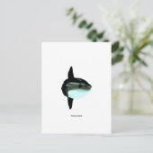 Mola Mola Postkarte (Stehend Vorderseite)