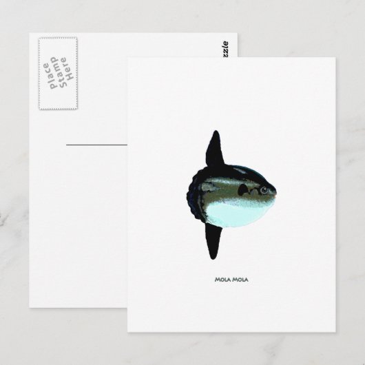 Mola Mola Postkarte (Vorne/Hinten)