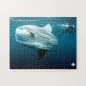 Mola Mola Puzzle (Horizontal)