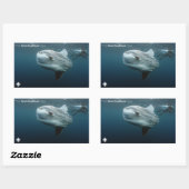 Mola Mola Rechteckiger Aufkleber (Blatt)